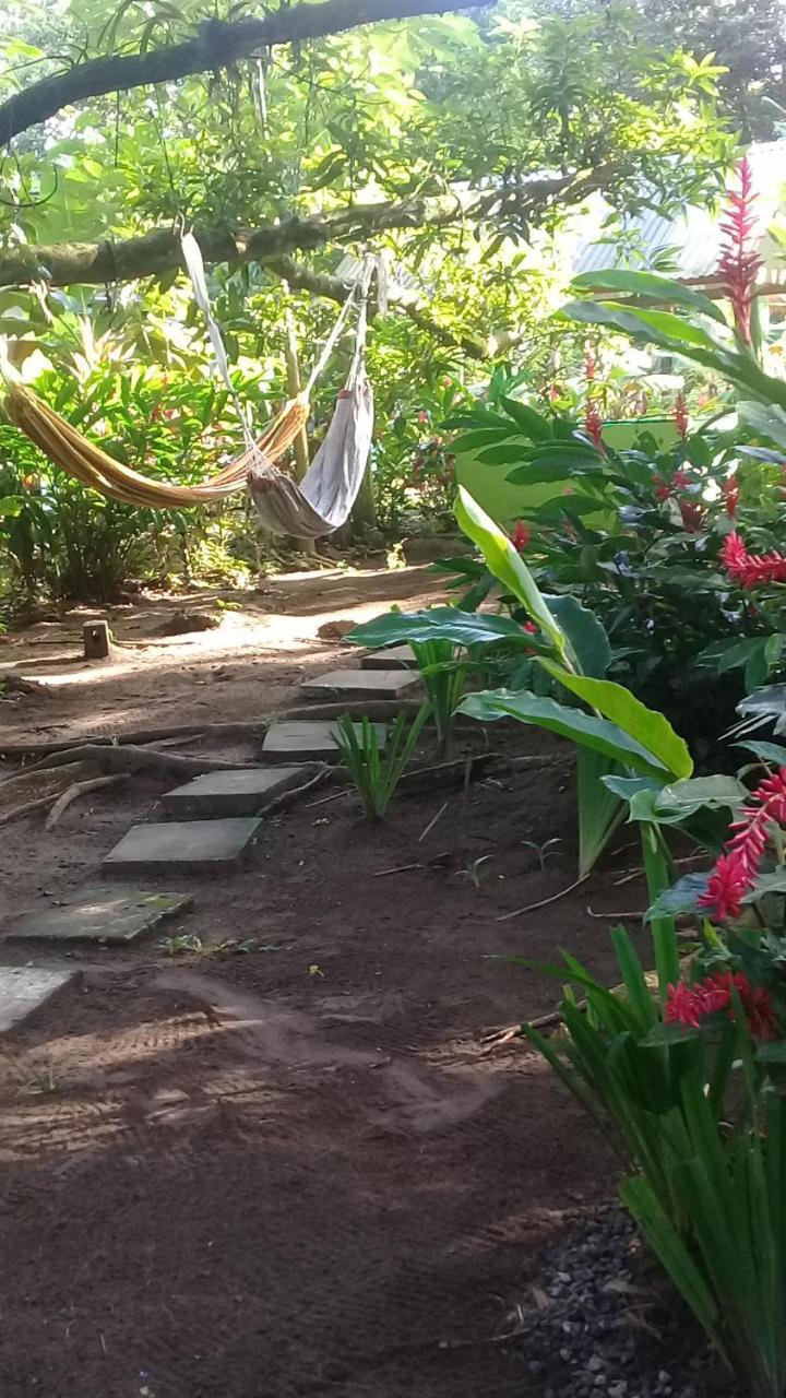 Casa Chilamates Tortuguero Exterior photo